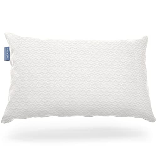 Cosy House Collection Cosy House Collection Luxury Rayon Derived from Bamboo Memory Foam Pillow