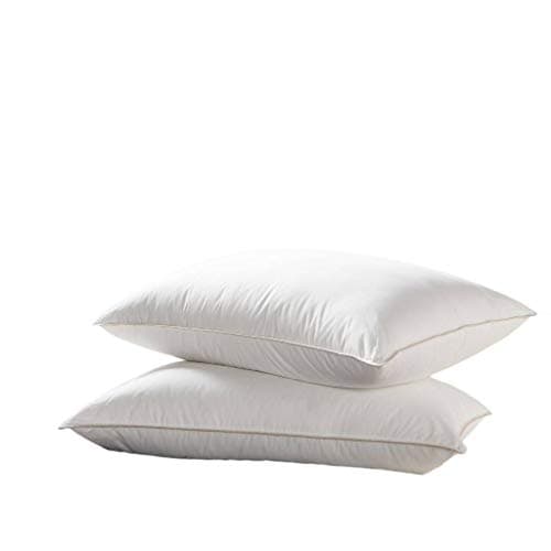 Egyptian Bedding Egyptian Bedding 250TC Goose Down Pillows (Set of 2)