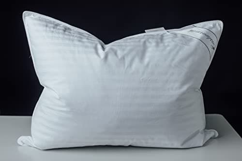 Eastwarmth Eastwarmth Goose Down Feather Soft Pillow, Standard (Single)
