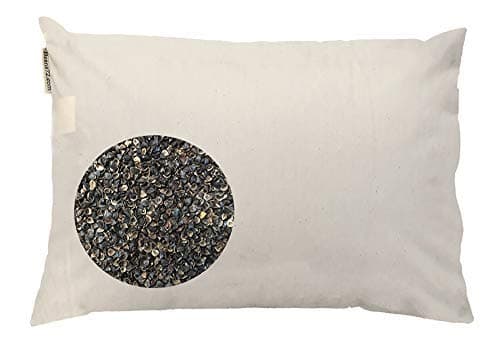 Beans72 Beans72 Organic Buckwheat Pillow, Queen (20 x 30 in)
