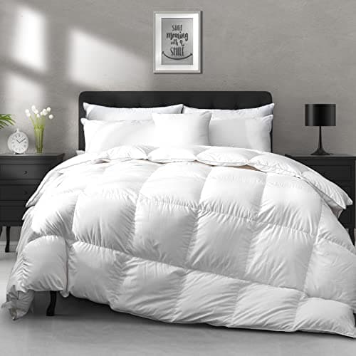 APSMILE APSMILE All-Season Down-Feather Comforter