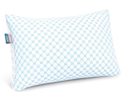 Nestl Nestl Cooling Pillows, Queen, Set of 2