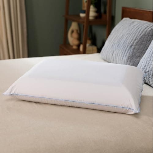 Tempur-Pedic Tempur-Pedic TEMPUR-Cloud Dual Cooling Pillow, Queen