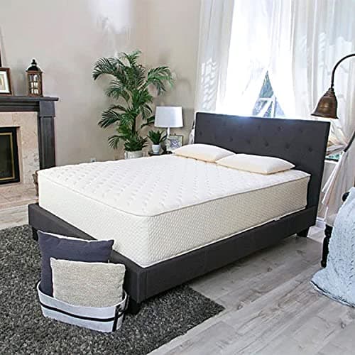 Latex for Less Latex for Less 2-Sided Natural Latex Mattress 9", Split Queen